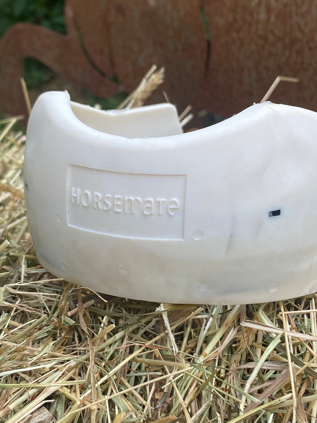 Horsemate Ballenboots mit Klickverschluss